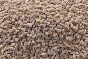 Kasza jęczmienna w daniach obiadowych – stwórz pyszne i sycące dania