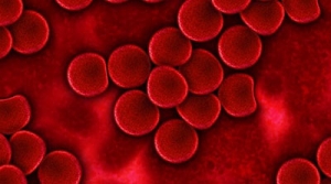 Poziom cukru we krwi - co nam pokazuje i kto powinien go kontrolować?