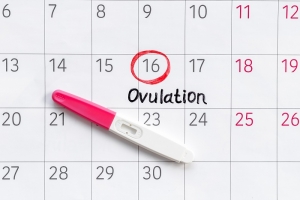 Metoda Billingsów – obliczanie dni płodnych